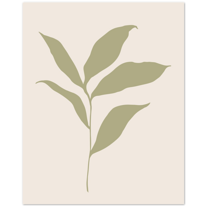 FLOR MUSA IV
