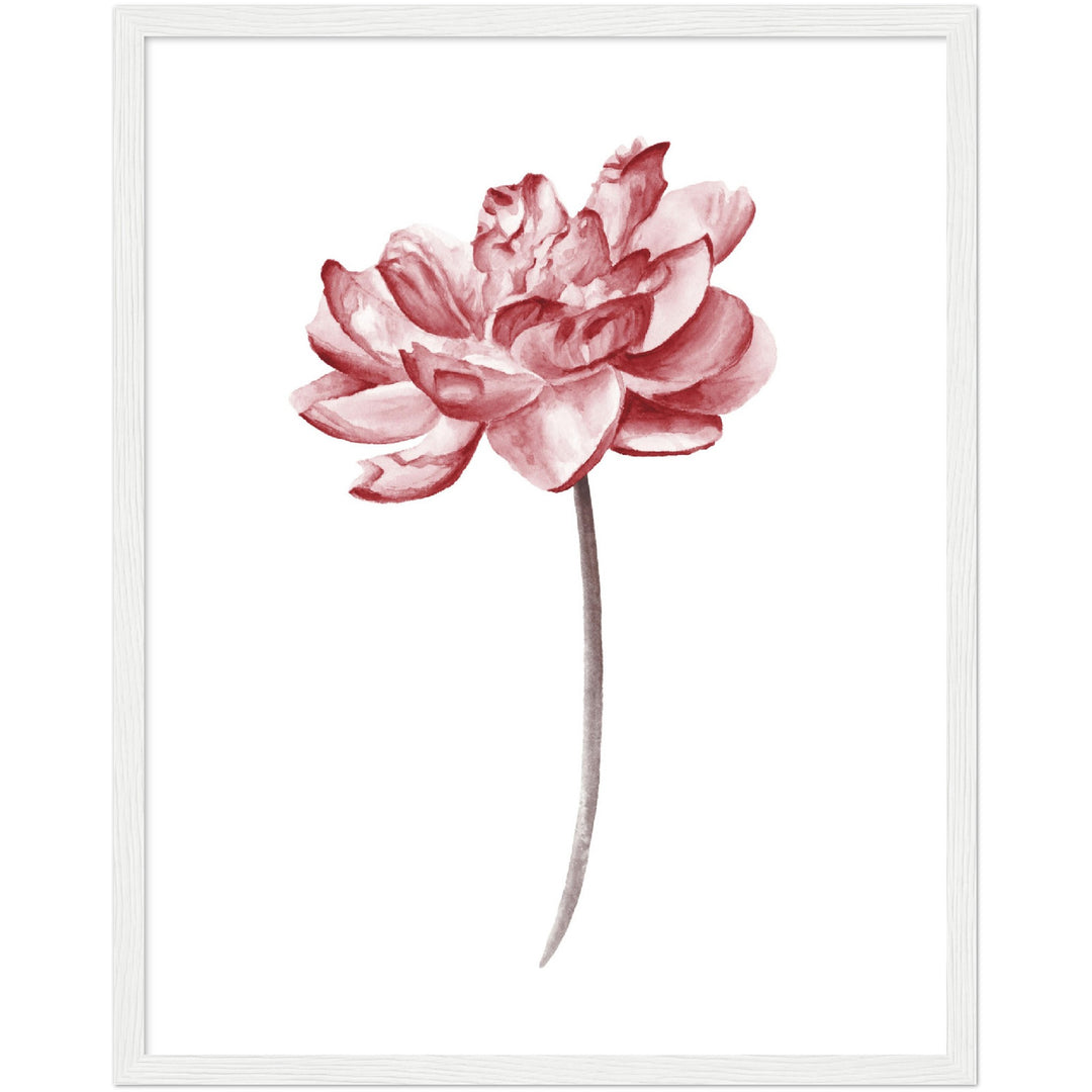 PEONIES III