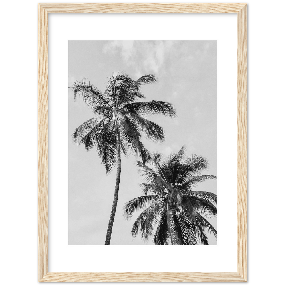 PALMERAS I