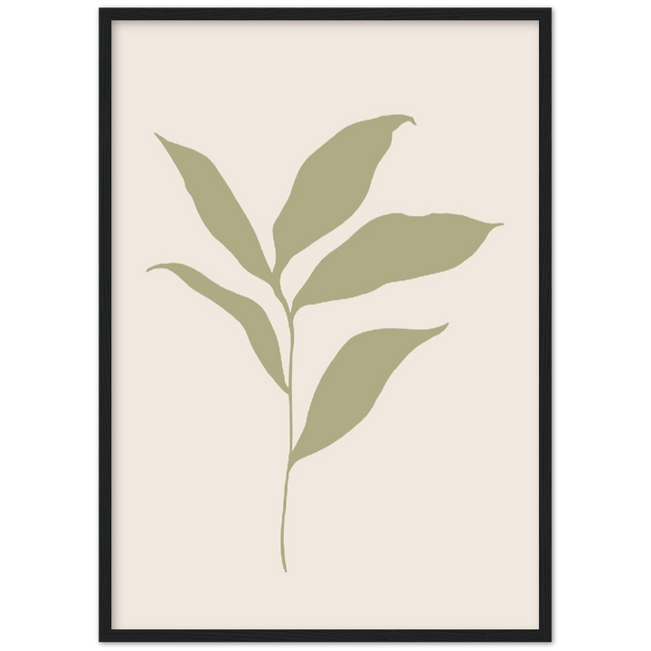 FLOR MUSA IV