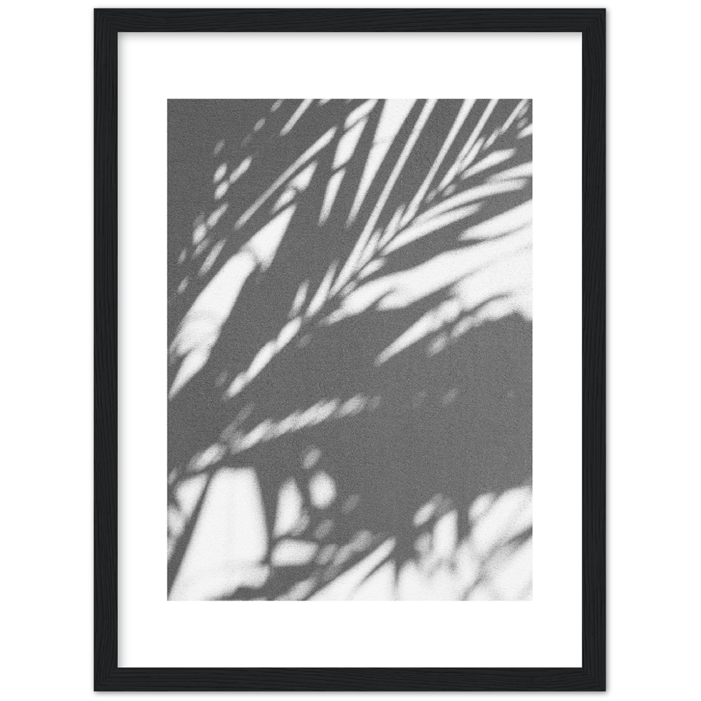 PALM SHADOW