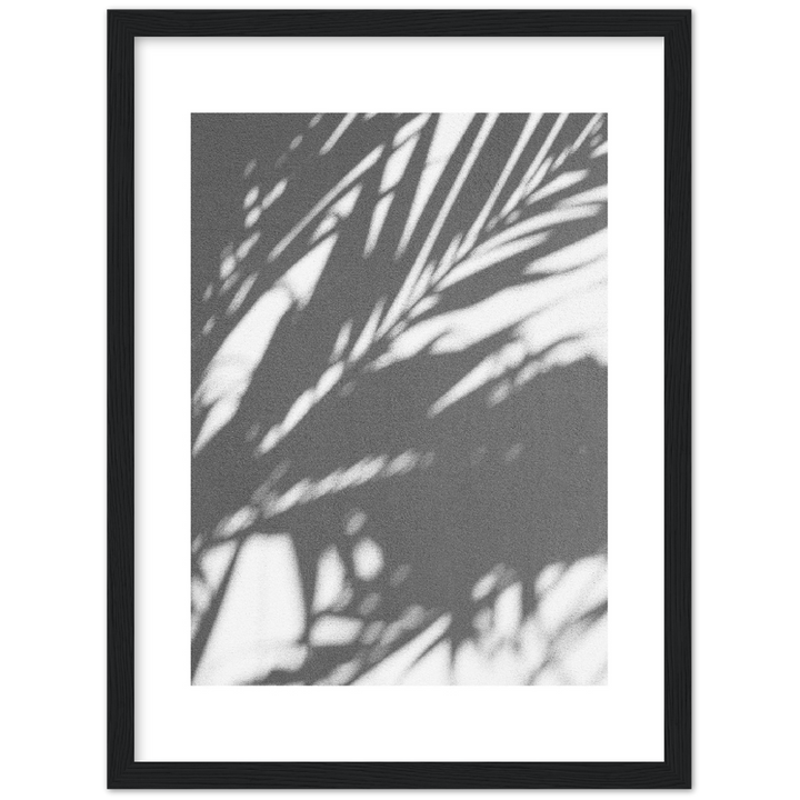 PALM SHADOW