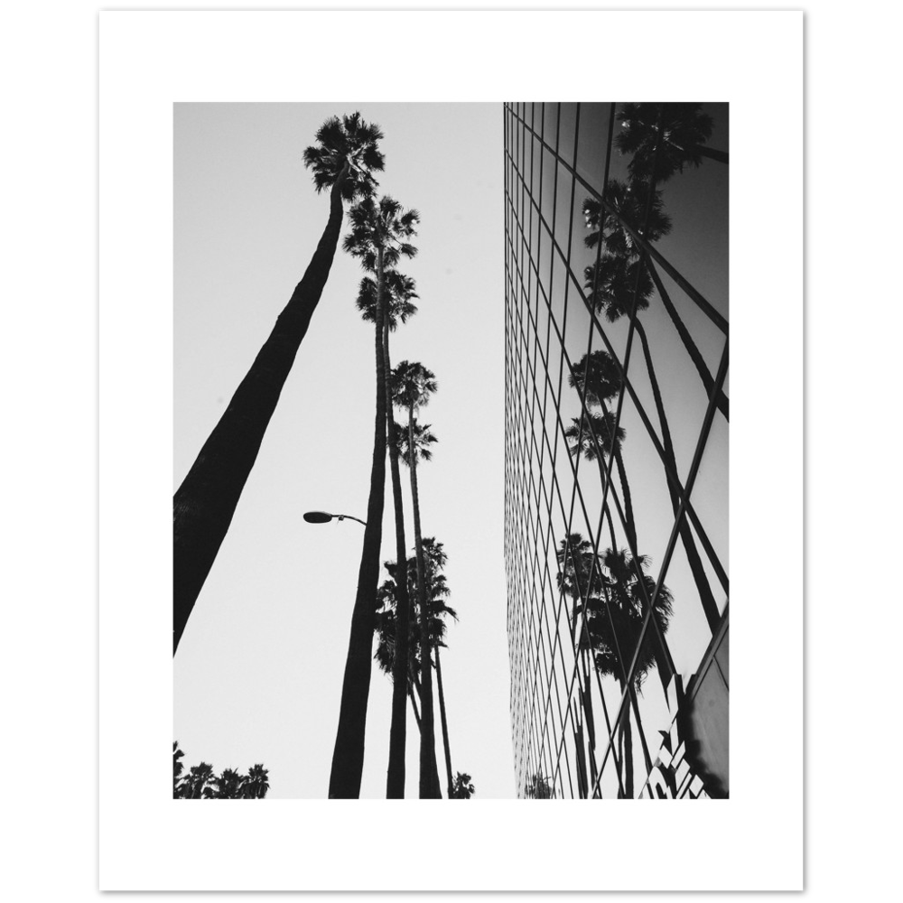 PALM TOWER