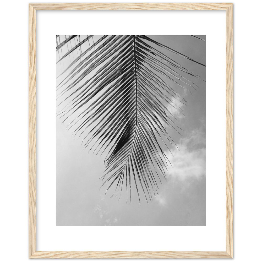 PALM CLOUD