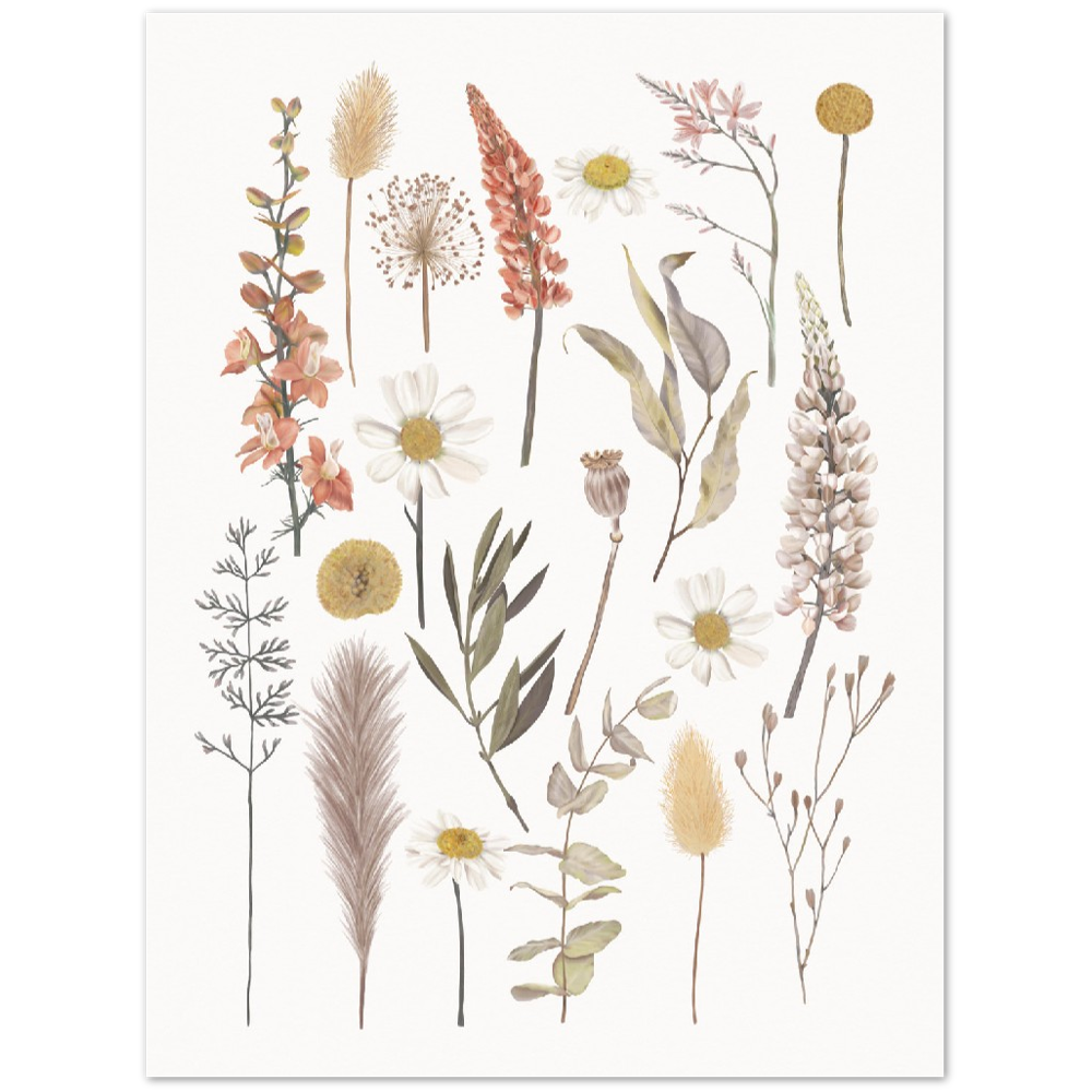 BOTANIC COMPO