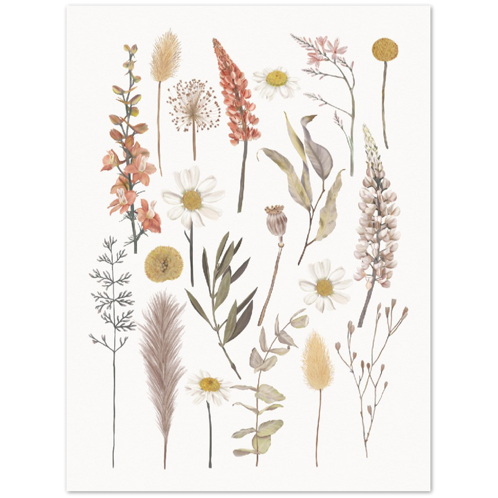 BOTANIC COMPO