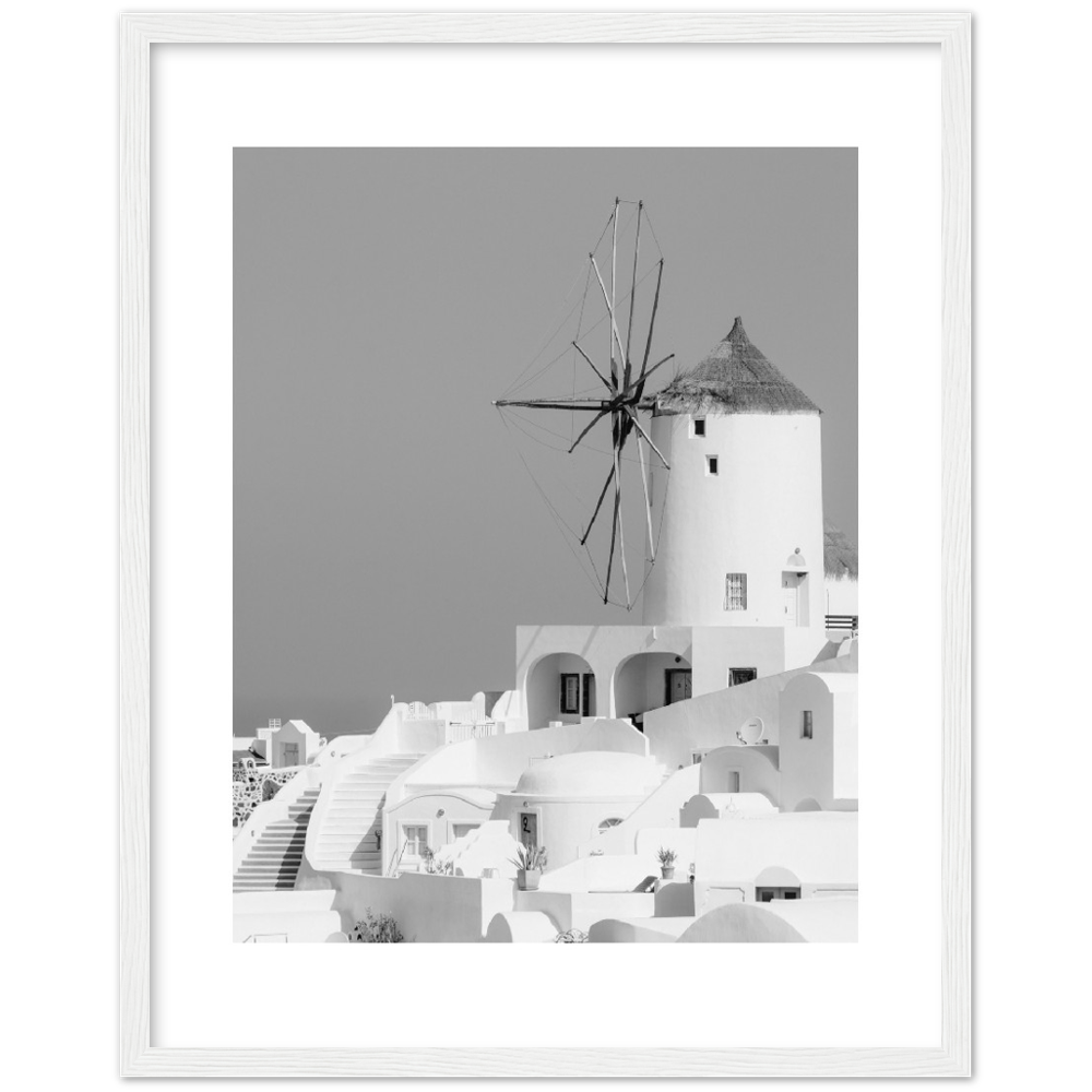 MOLINO BLANCO