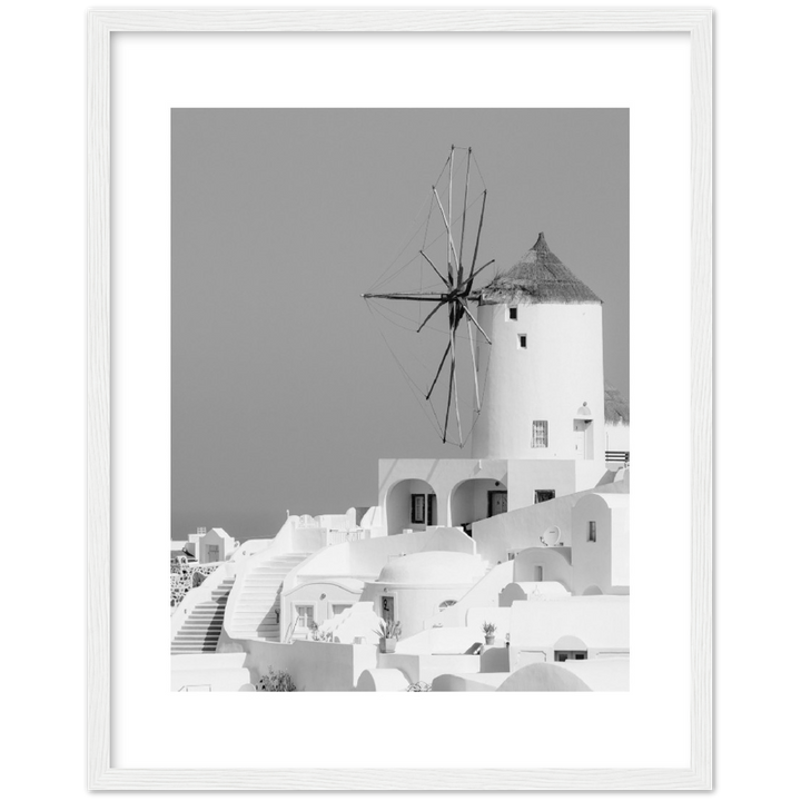 MOLINO BLANCO