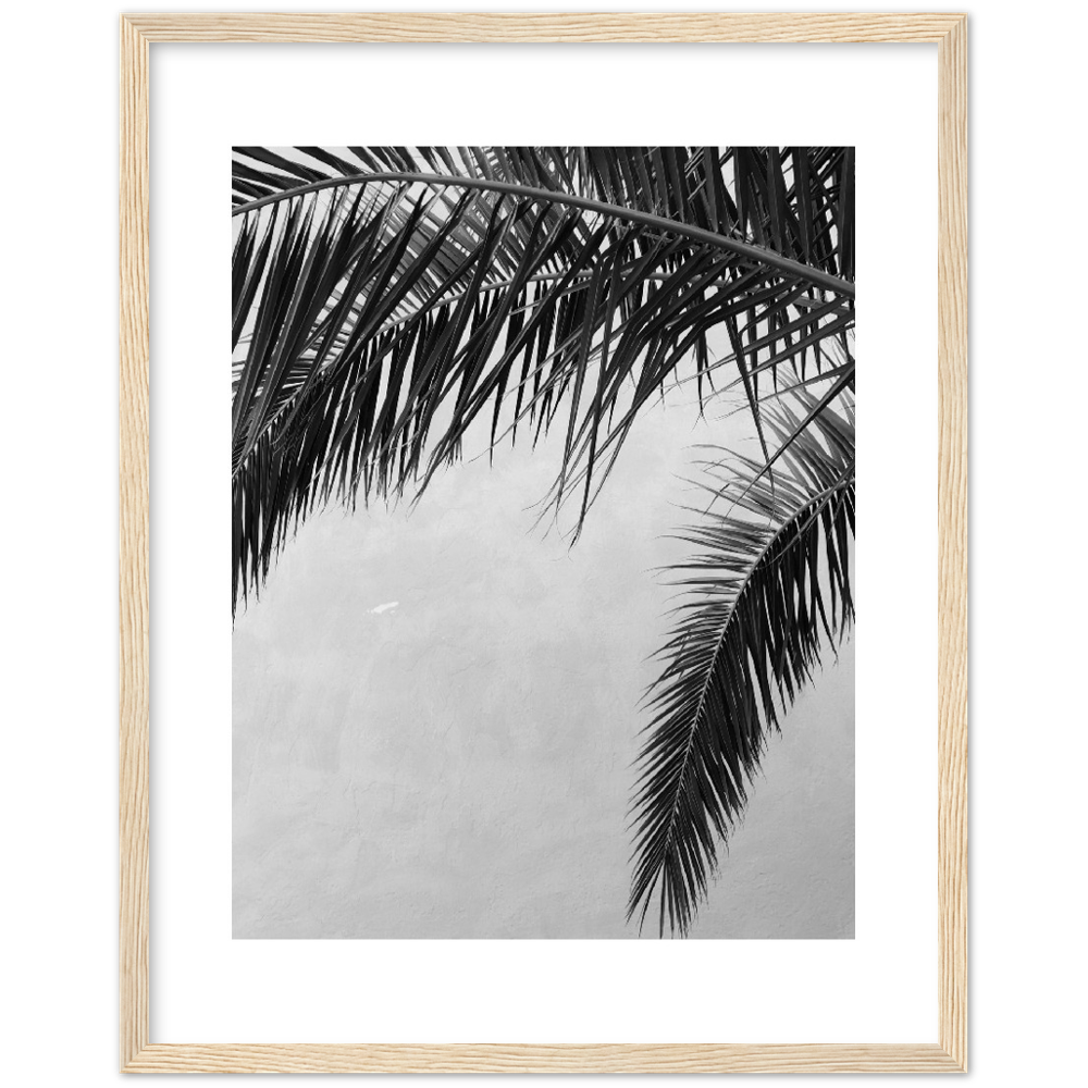 PALMAS II
