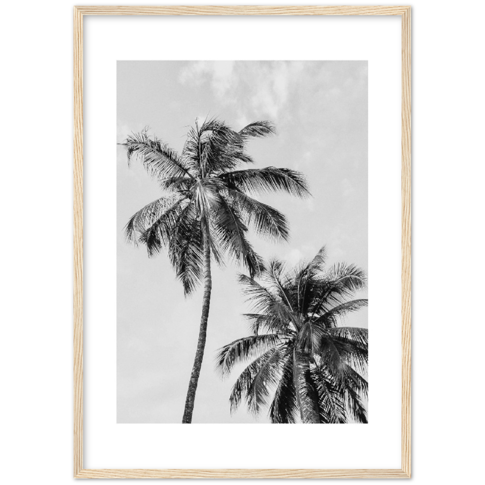 PALMERAS I