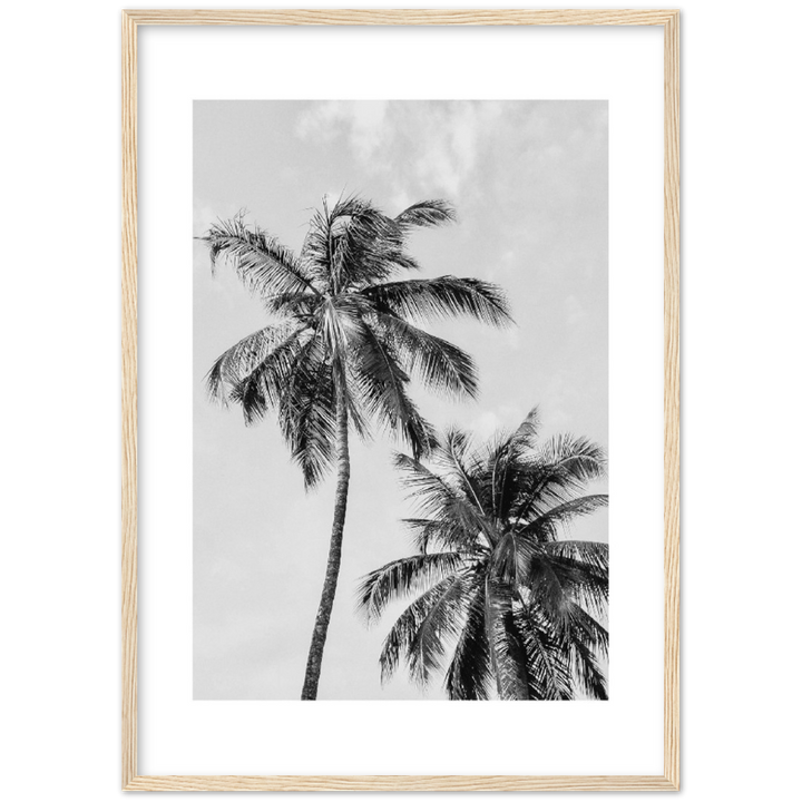 PALMERAS I