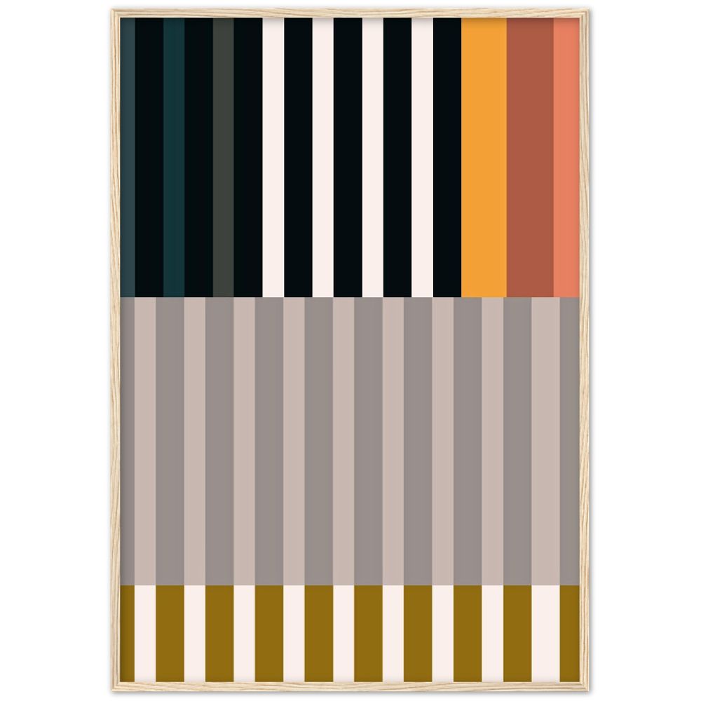 RAYVISION II