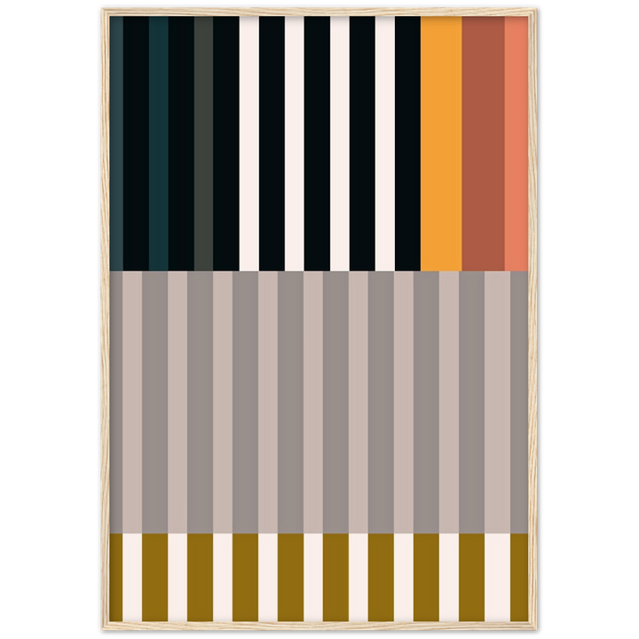 RAYVISION II
