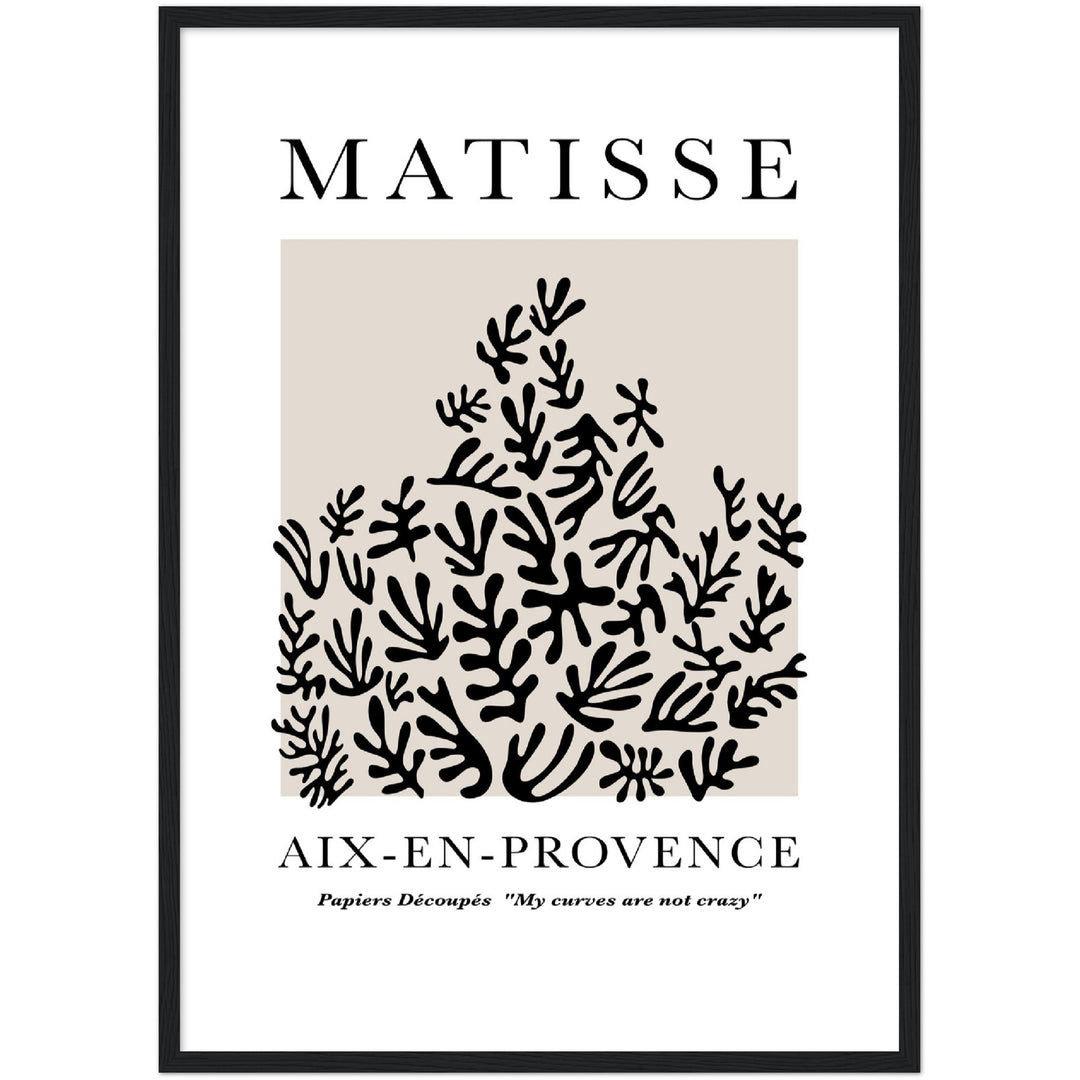 MATISSE PLANT