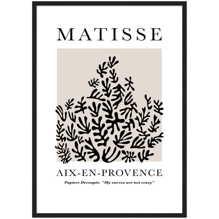 MATISSE PLANT
