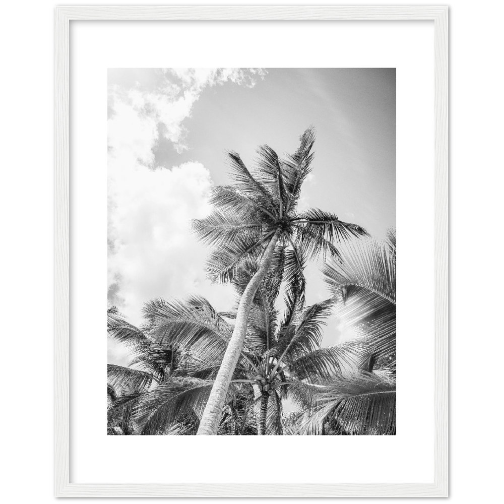 TROPICAL
