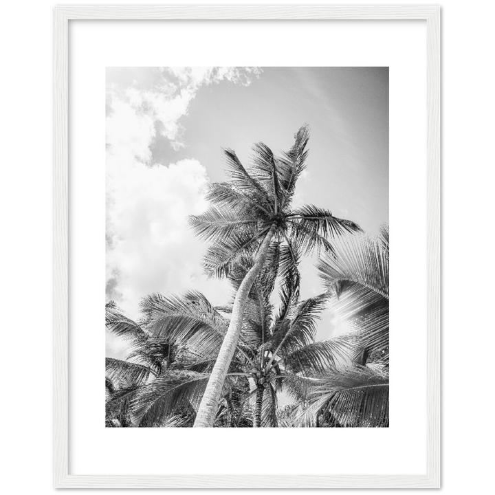 TROPICAL