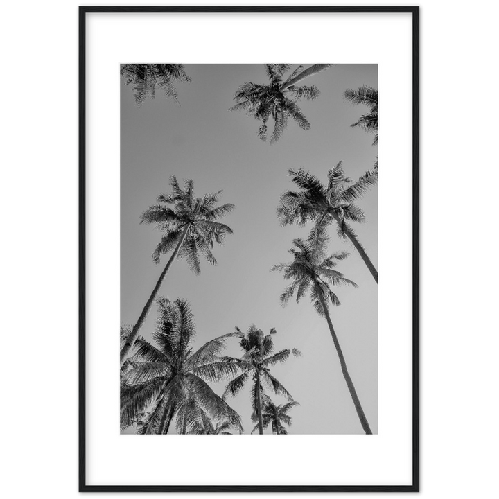 PALMAS GREY I