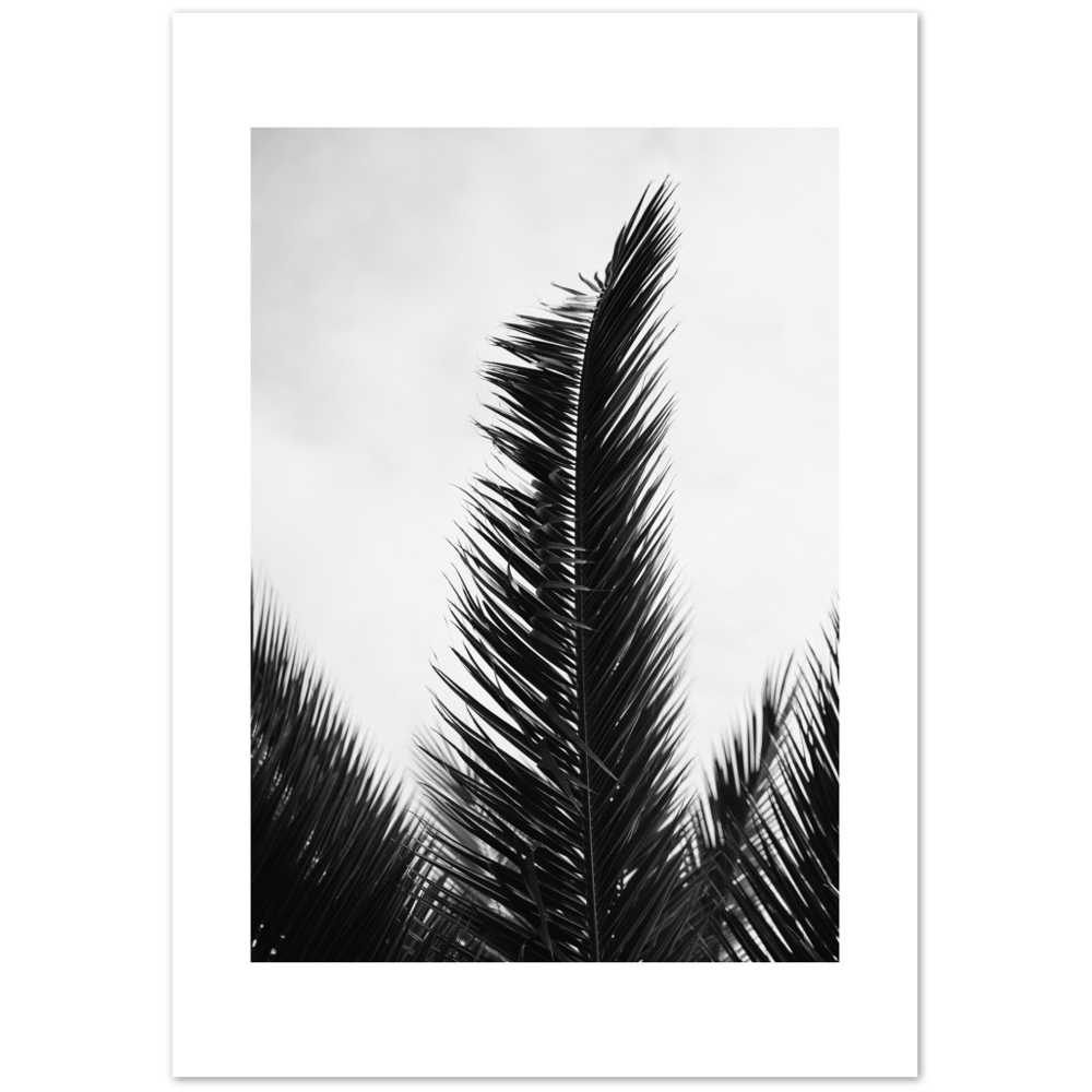 TRIPALM
