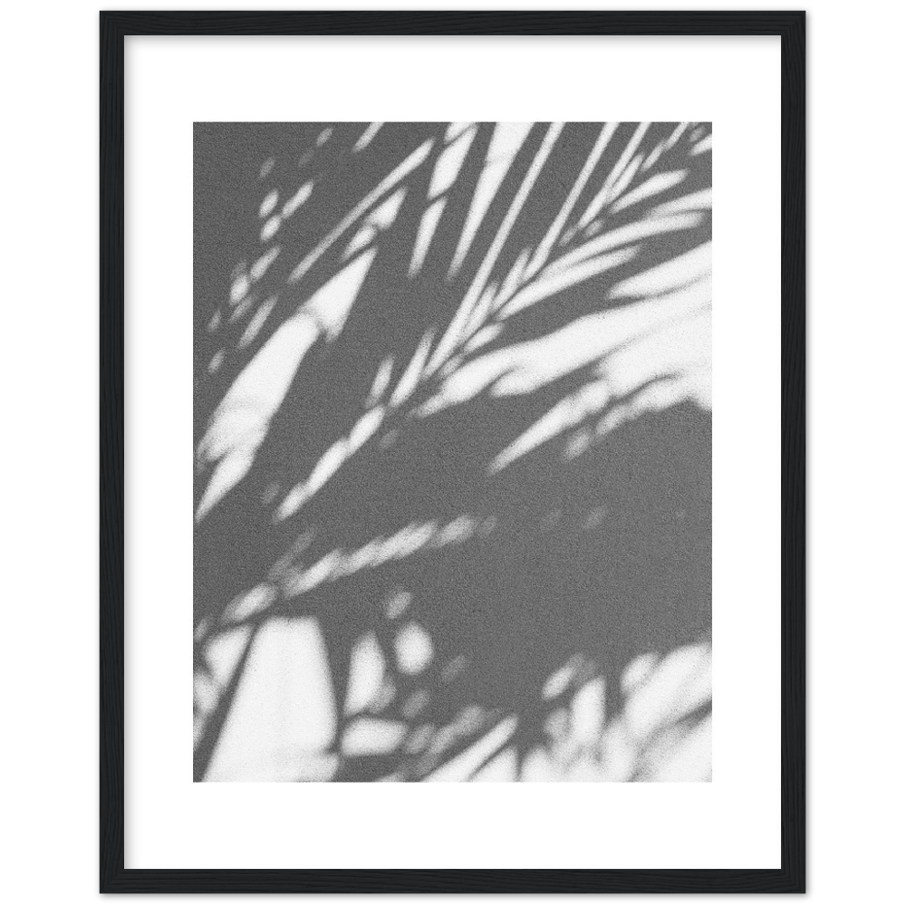 PALM SHADOW