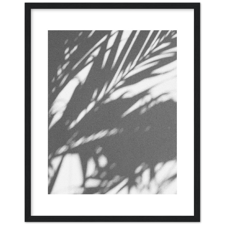 PALM SHADOW