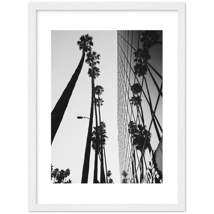 PALM TOWER