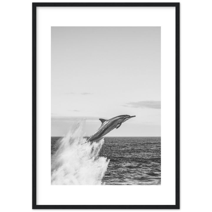 DELFIN