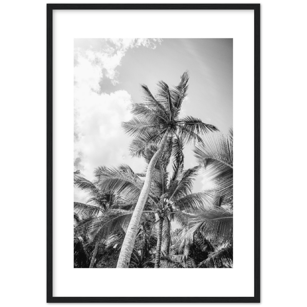 TROPICAL