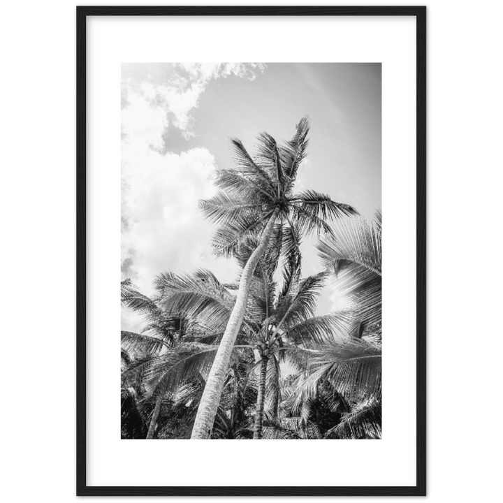 TROPICAL