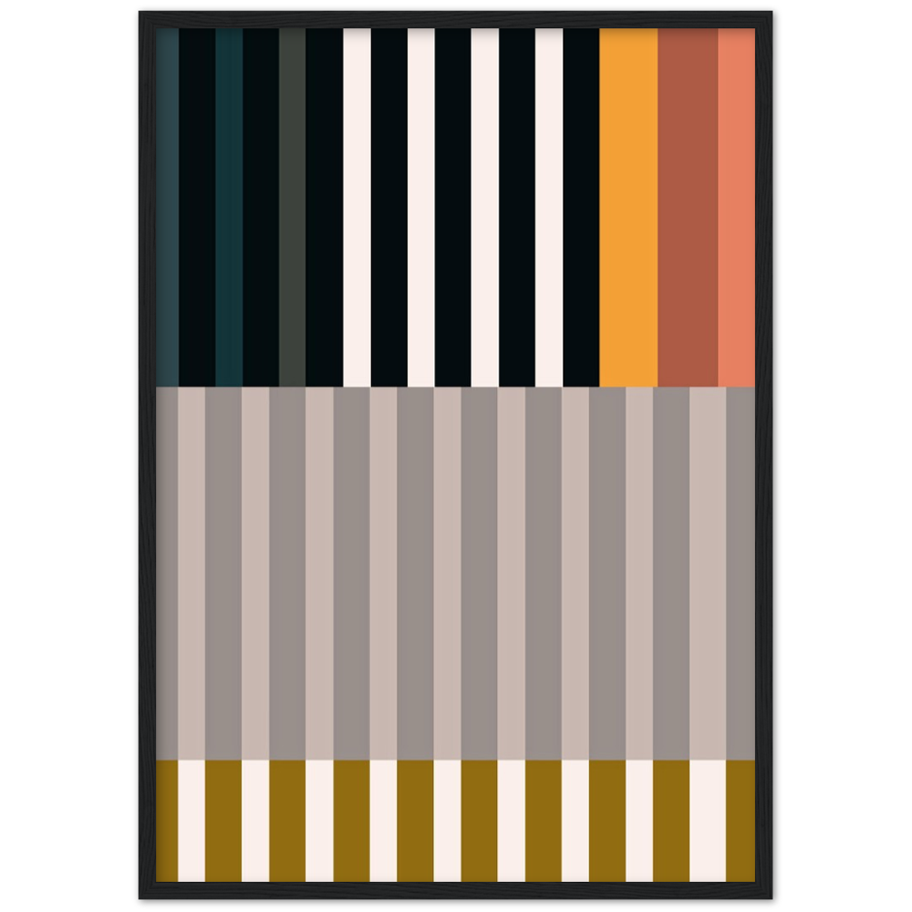 RAYVISION II