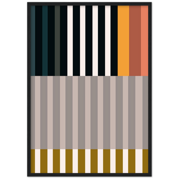 RAYVISION II