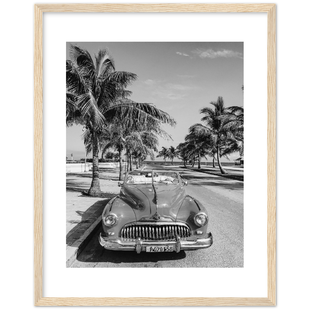CARRO PALM