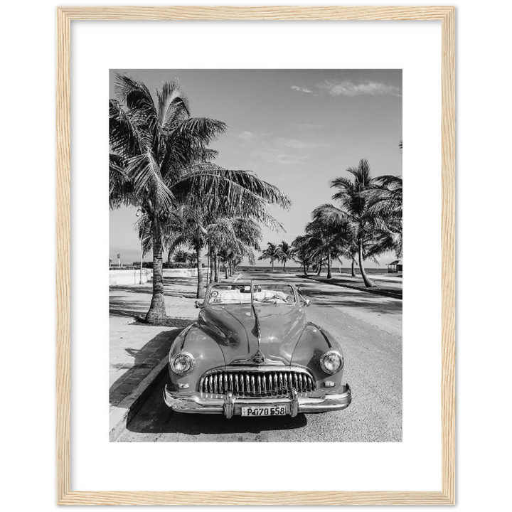 CARRO PALM