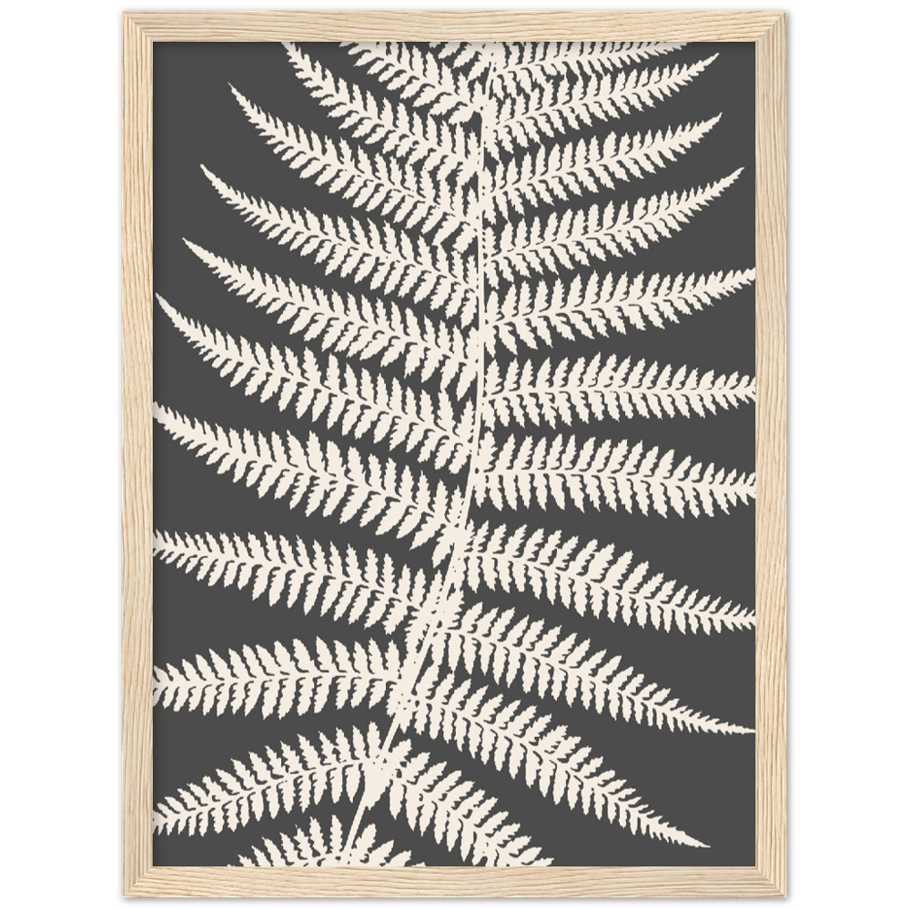 GREY FERNAT III