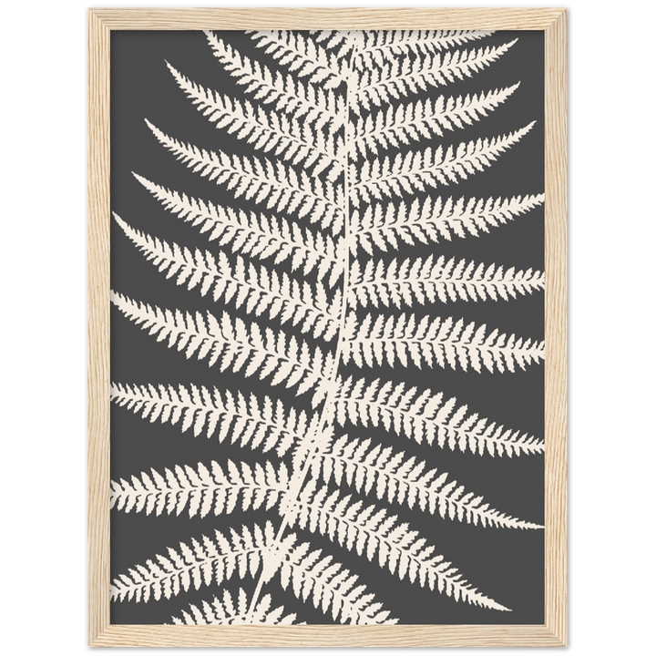 GREY FERNAT III