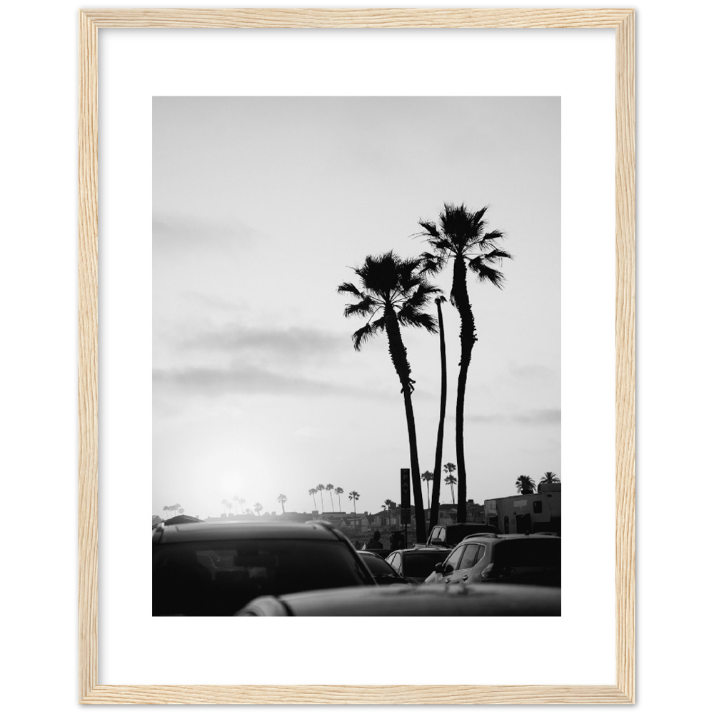 PALM STREET