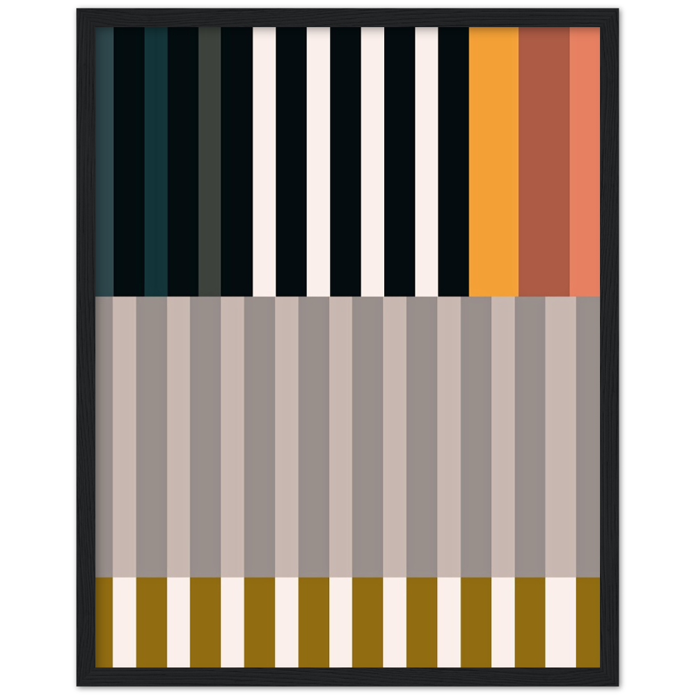 RAYVISION II