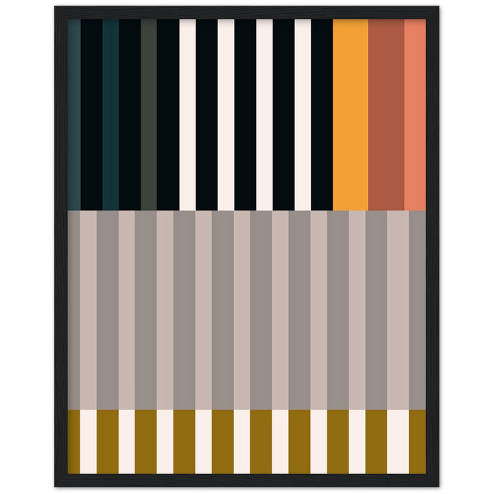 RAYVISION II