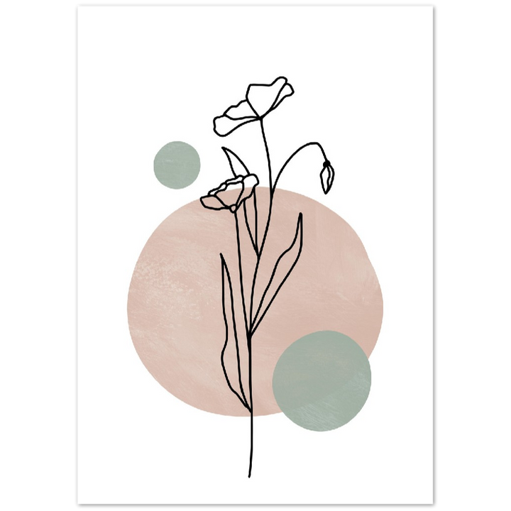 ROSA I