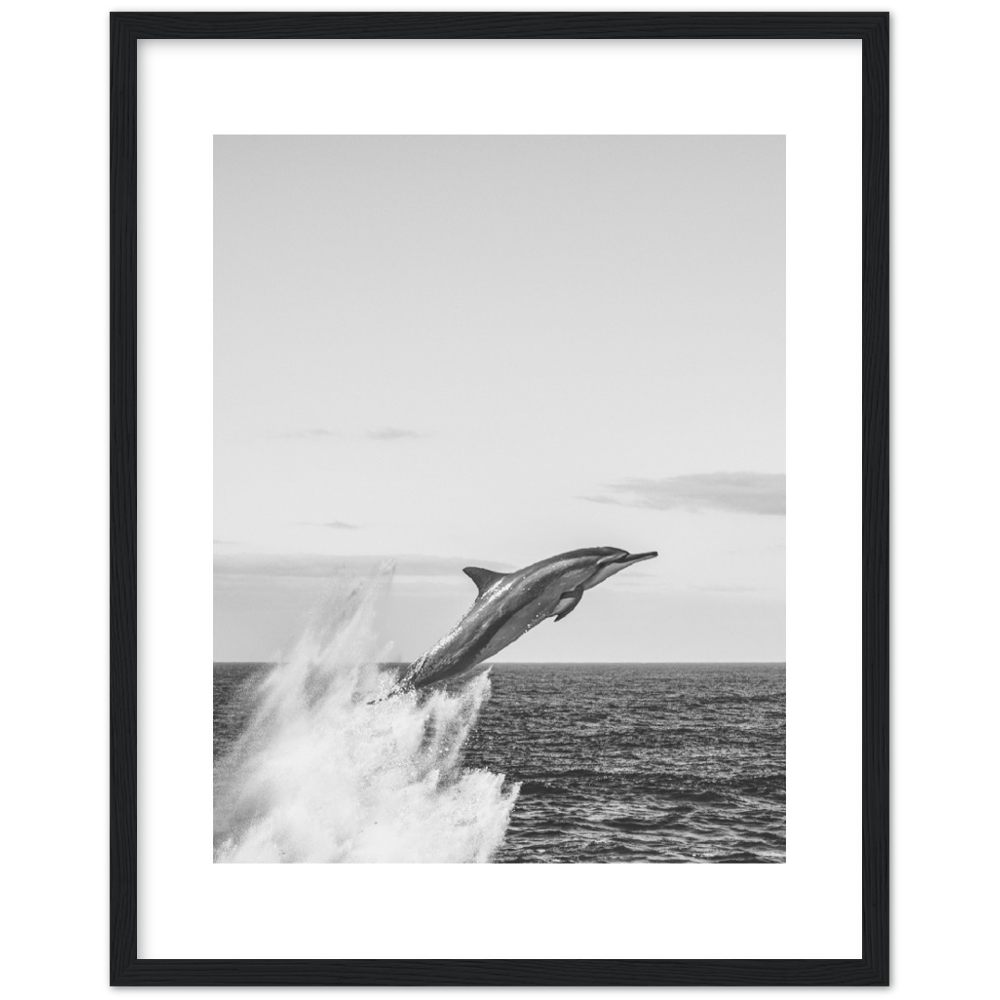 DELFIN