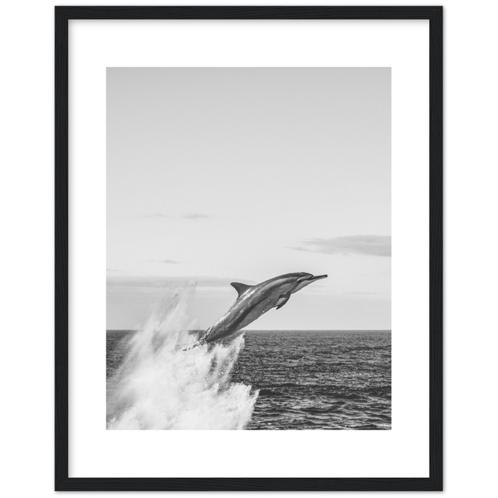 DELFIN