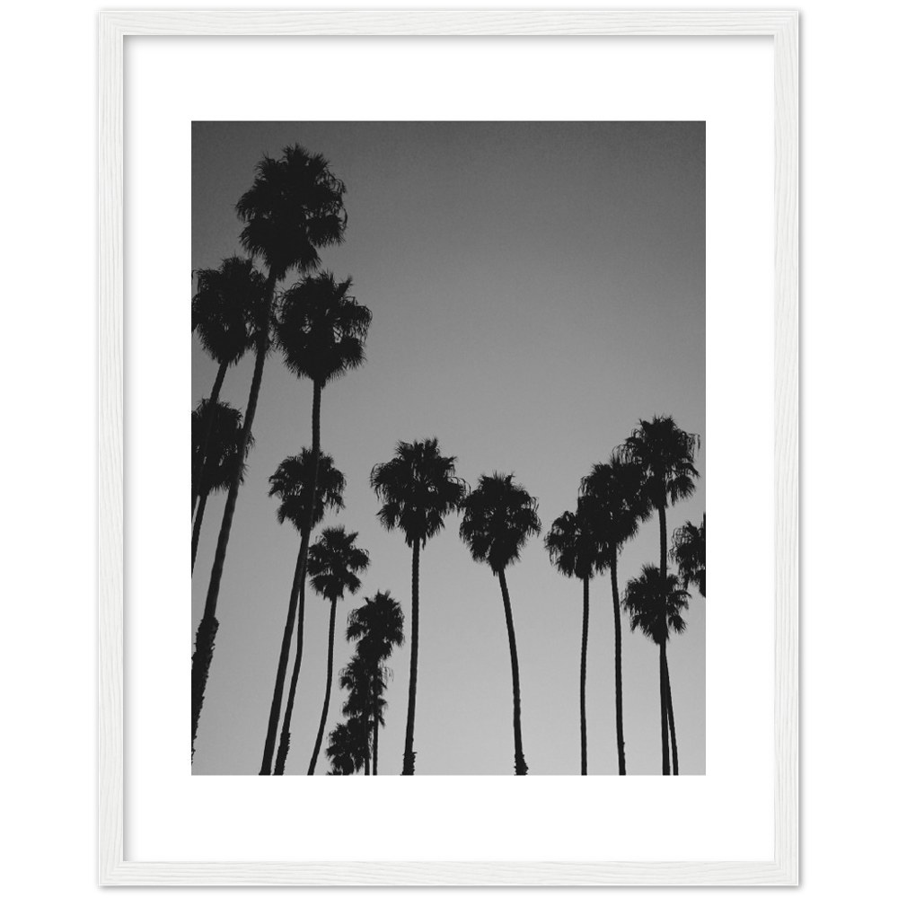 LARGE PALM