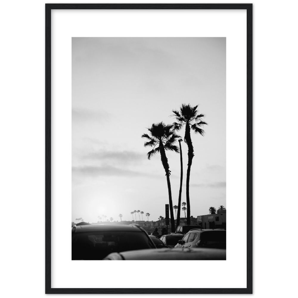 PALM STREET