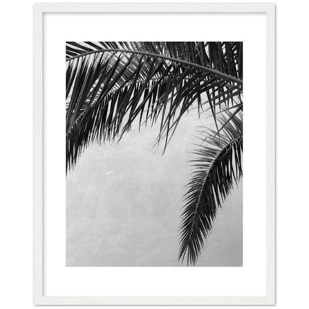 PALMAS II