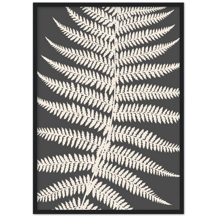GREY FERNAT III