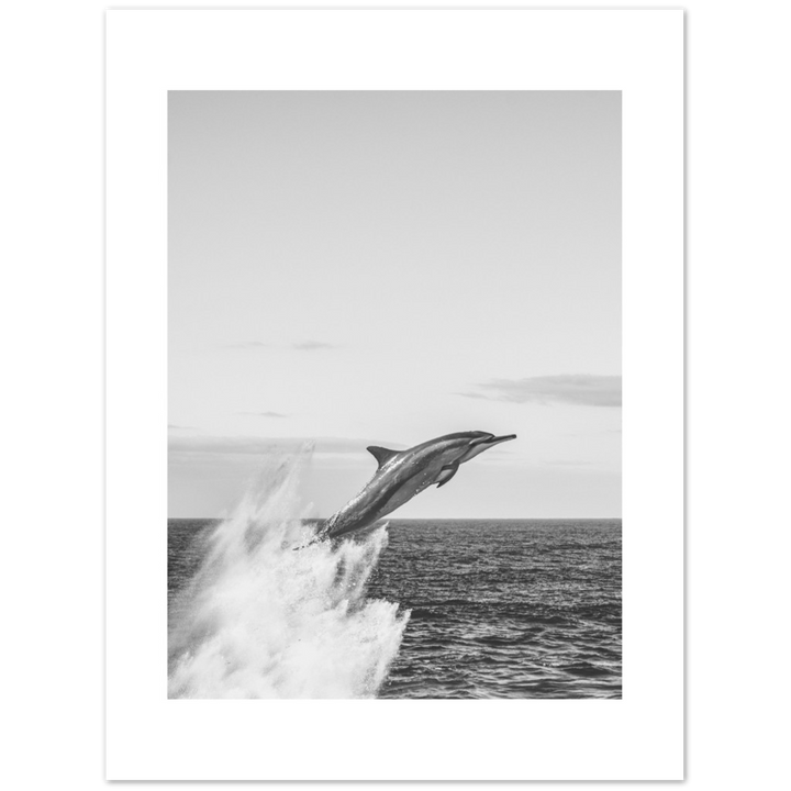 DELFIN