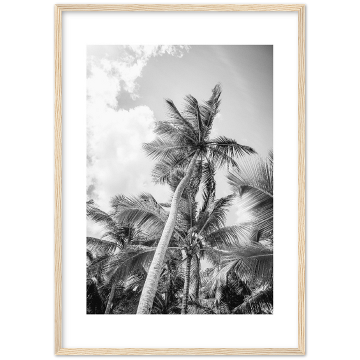 TROPICAL