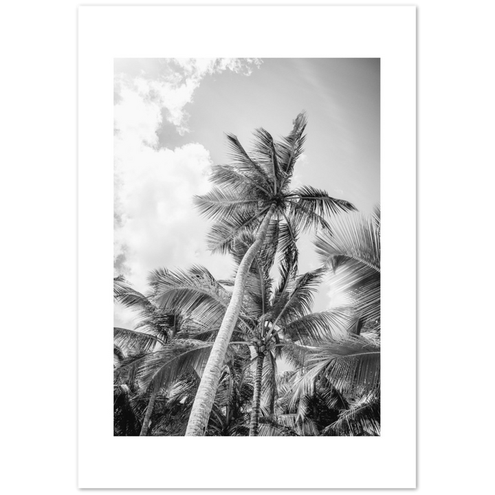 TROPICAL