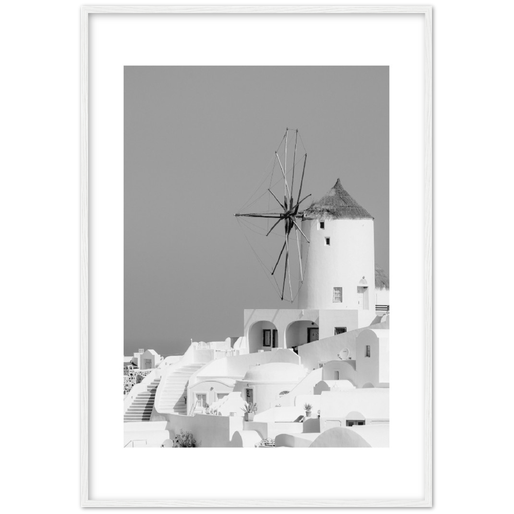 MOLINO BLANCO