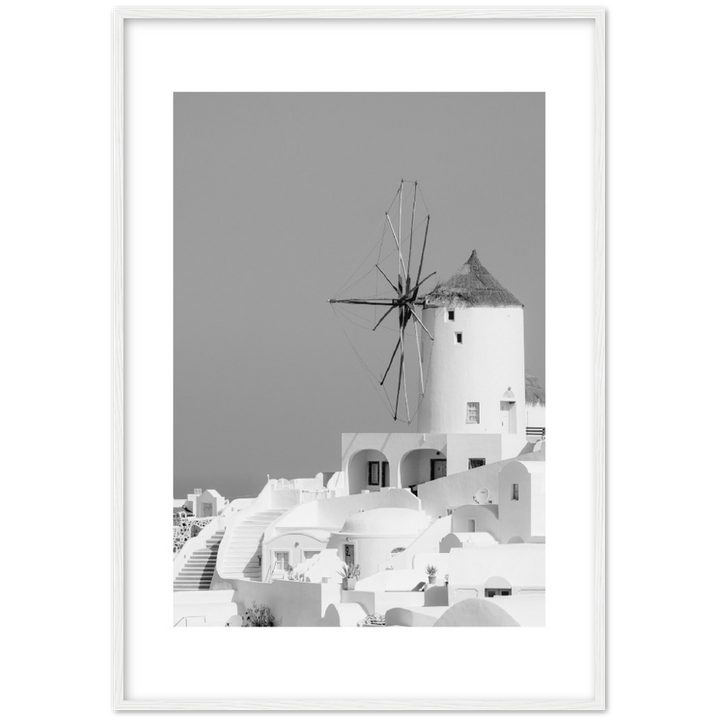 MOLINO BLANCO
